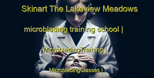 Skinart The Lakeview Meadows microblading training school | MicrobladingTraining | MicrobladingClasses | SkinartTraining-United States
